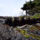 Illustration for article titled Tofino and Ucluelet